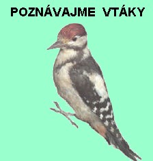 Tento program je ur�en� na z�skanie praktick�ch vedomost� z pozn�vania vt�kov. Ovl�danie je mo�n� pomocou my�i, alebo s vyu�it�m tabul�tora a kl�vesov�ch skratiek. V��majte si stavov� riadok!